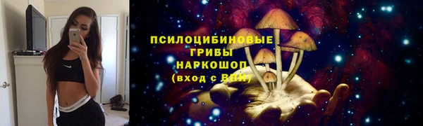 spice Надым
