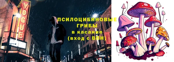 spice Надым